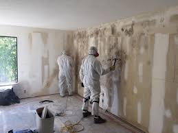 Roswell, NM Mold Inspection Company